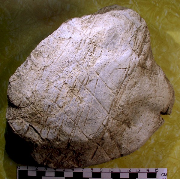 Incised Limestone Figure - Day's Knob Archaeological Site