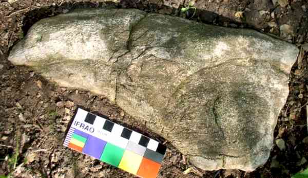 Bird-Form Limestone Figure - Artifact from Day's Knob Archaeological Site