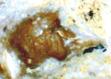 Bird Microfigure - Artifact from Day's Knob Archaeological Site
