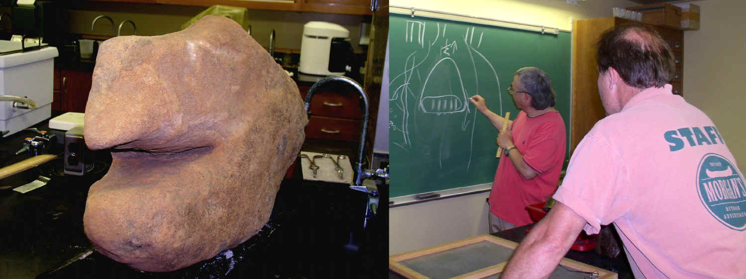 Turtle Head Artifact at Muskingum Univ. Geology Lab