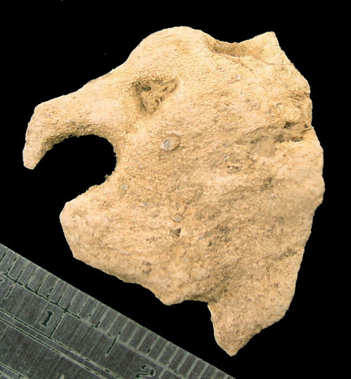 Limestone Figure from 33GU218 in Ohio