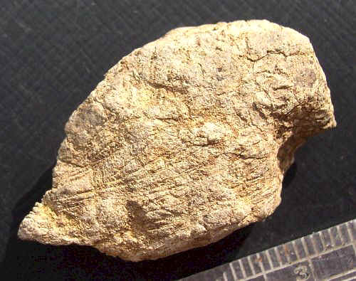 Incised Limestone Bird-Form Figure at 33GU218