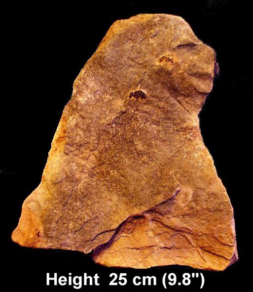 Bird-Human Image - Artifact from Day's Knob Archaeological Site (33GU218)