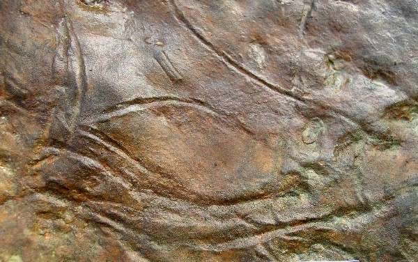 Bird Petroglyph - Day's Knob Archaeological Site