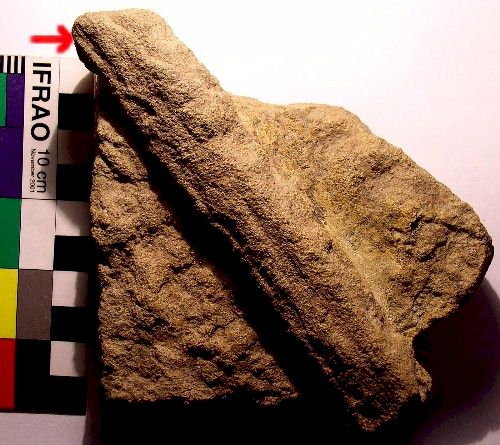 Carved Sandstone - Artifact from Day's Knob Archaeological Site
