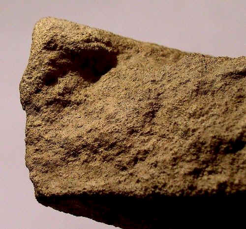 Bird Head on Carved Sandstone - Artifact from Day's Knob Archaeological Site