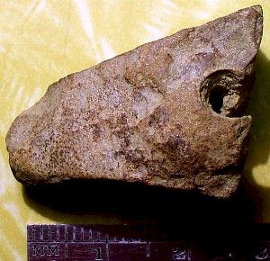 Microsculpted Sandstone - Artifact from Day's Knob Archaeological Site