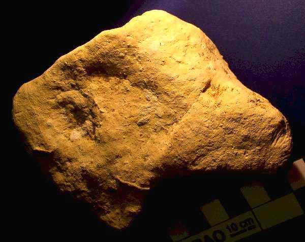 Canine Figure - Artifact from Day's Knob Archaeological Site