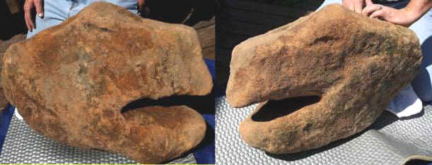Sandstone Turtle Head Carving near Fort Ancient