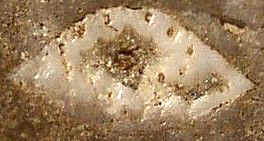 Artificially Enhanced Silica Eye - Day's Knob Archaeological Site