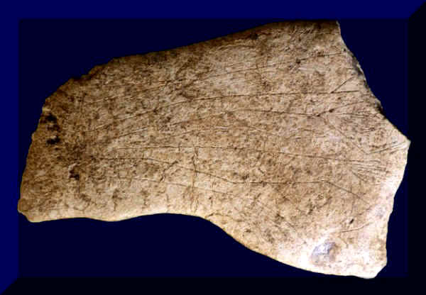 Feathered Bird Figure from Gault Archaeological Site