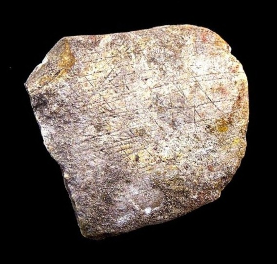 Incised Limestone - Gault Archaeological Site