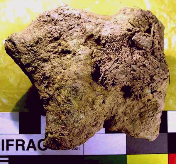 Bear Figure - Artifact from Day's Knob Archaeological Site
