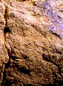 Human Face Image - Artifact from Day's Knob Archaeological Site