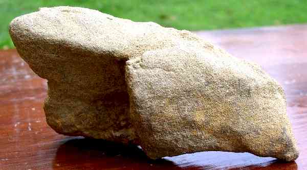 Bird-Form Gouge - Artifact from Day's Knob Archaeological Site