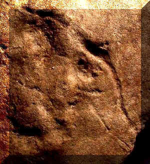Mastodon Petroglyph - 33GU218