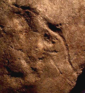 Apparent Mastodon Petroglyph at 33GU218 in Ohio