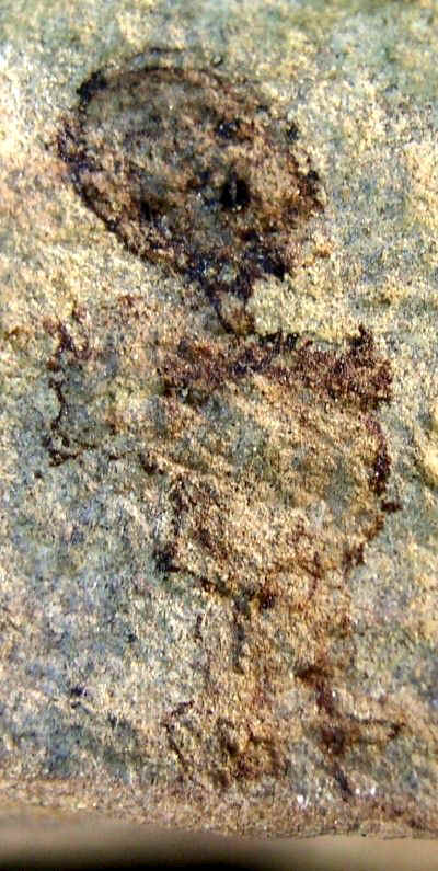 Rock Painting - Day's Knob Archaeological Site