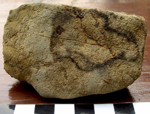 Rock Painting (Bison?) - Day's Knob Archaeological Site, 33GU218