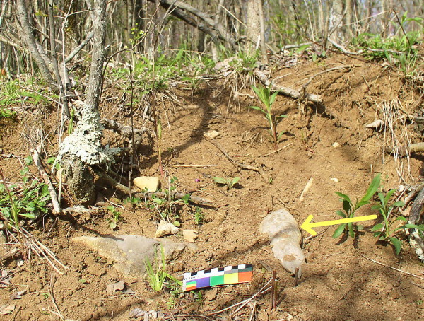 Limestone Venus Figure In Situ, 33GU218