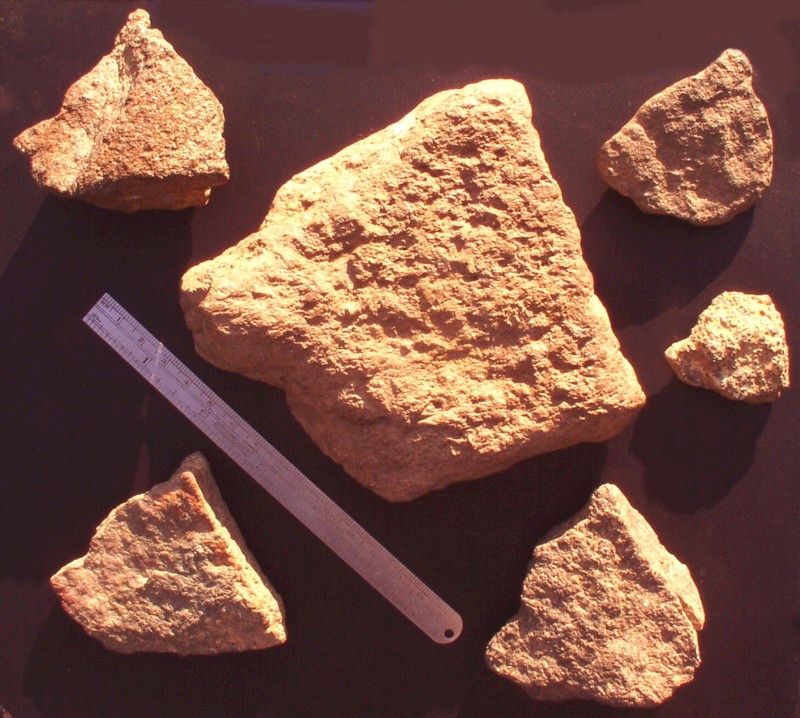 Sandstone Bear Heads - Terry Deal Finds, North Carolina