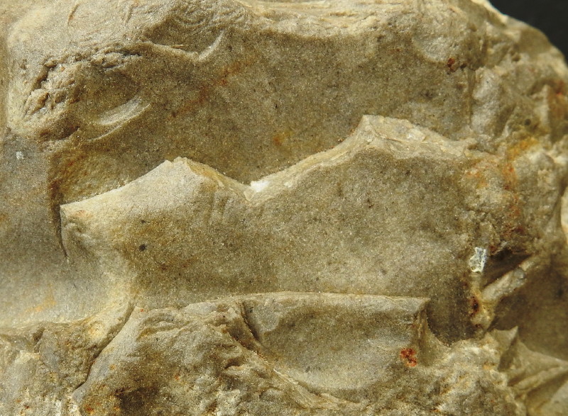 Bas Relief Figure on Handaxe Preform, Groß Pampau