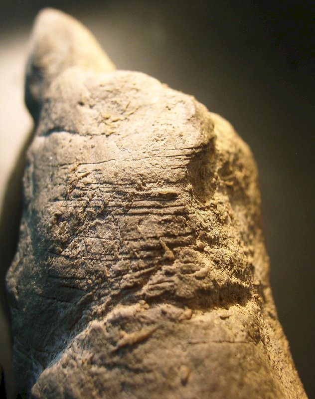 Incised Lines on Limestone Venus Figure at 33GU218