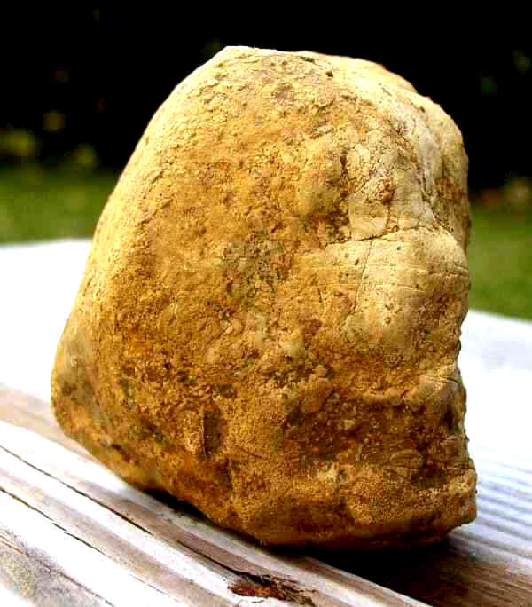 Quasi-Human Image - Artifact from Day's Knob Archaeological Site
