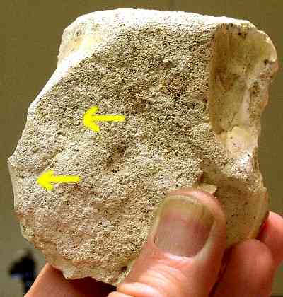 Pre-Clovis Artifact - Topper Archaeological Site
