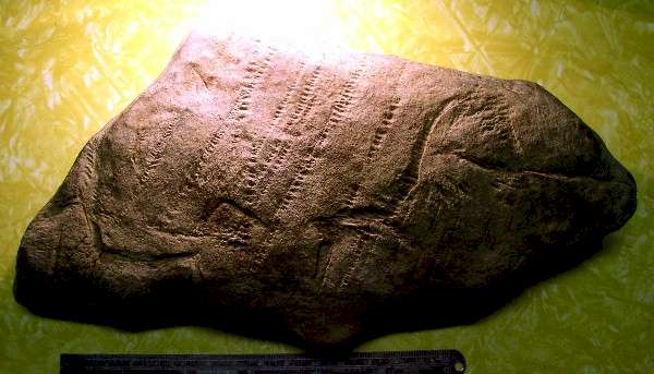 Incised Limestone - Day's Knob Archaeological Site