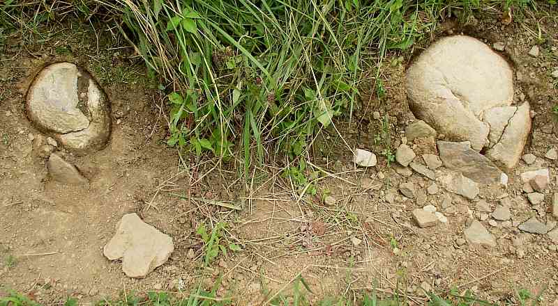 Paired Skull-like Figures in Limestone - Day's Knob Archaeological Site (33GU218)