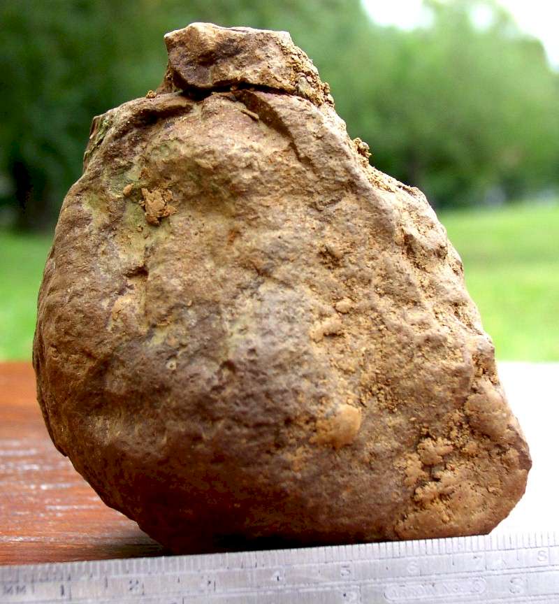 Clay Bird Figure with Human Hair - 33GU218