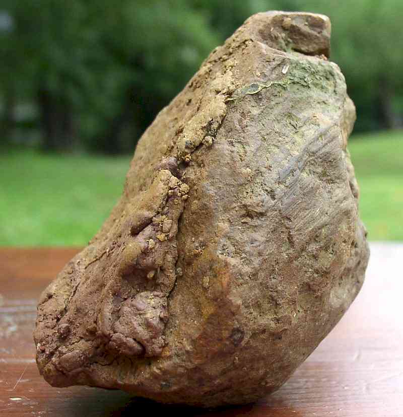 Clay Bird Figure with Human Hair in Tail - Day's Knob Archaeological Site