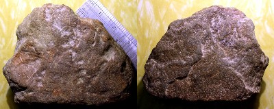 Bifrontal Figure - Day's Knob Archaeological Site