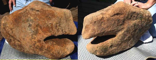 Sandstone Turtle Head from near Fort Ancient