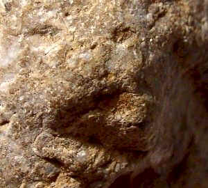 Limestone Carving - Day's Knob Archaeological Site