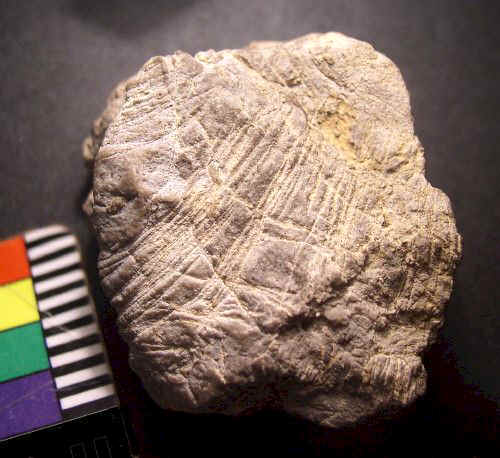 Incisied Limestone Artifact - Day's Knob Archaeological Site