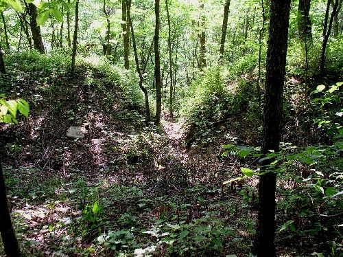 Earthwork Gateway at 33GU218 (Day's Knob Archaeological Site)