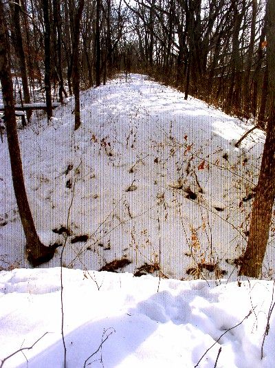 Earthwork at 33GU218 (Day's Knob Archaeological Site)