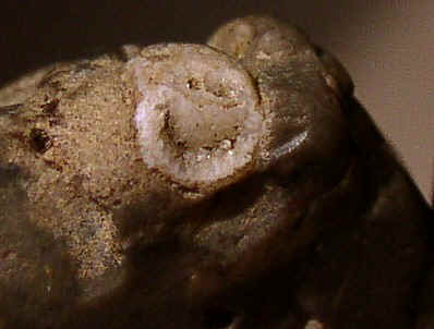 Flint Figure with Some Artificial Enhancement - Day's Knob Archaeological Site