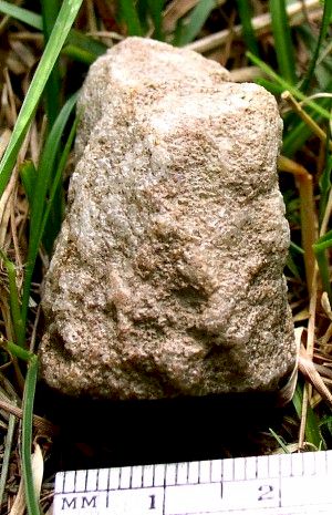 Human Head Figure - Artifact from Day's Knob Archaeological Site