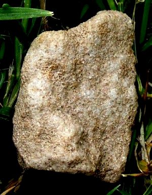 Bird-Human Figure - Artifact from Day's Knob Archaeological Site