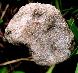 Bird-Human Figure - Artifact from Day's Knob Archaeological Site