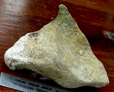 Horse Figure in Limestone - Day's Knob Archaeological Site