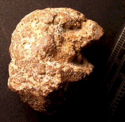 Iron Artifact at 33GU218 (Day's Knob)