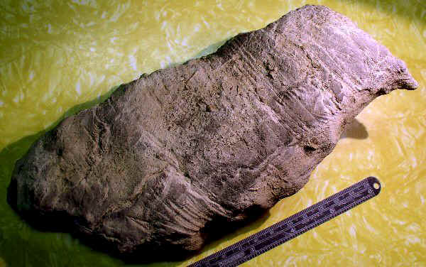 Incised Limestone Bird Figure - Day's Knob Archaeological Site