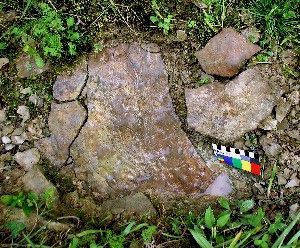 Rock Painting in Situ - 33GU218