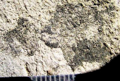 Rock Painting - Day's Knob Archaeological Site