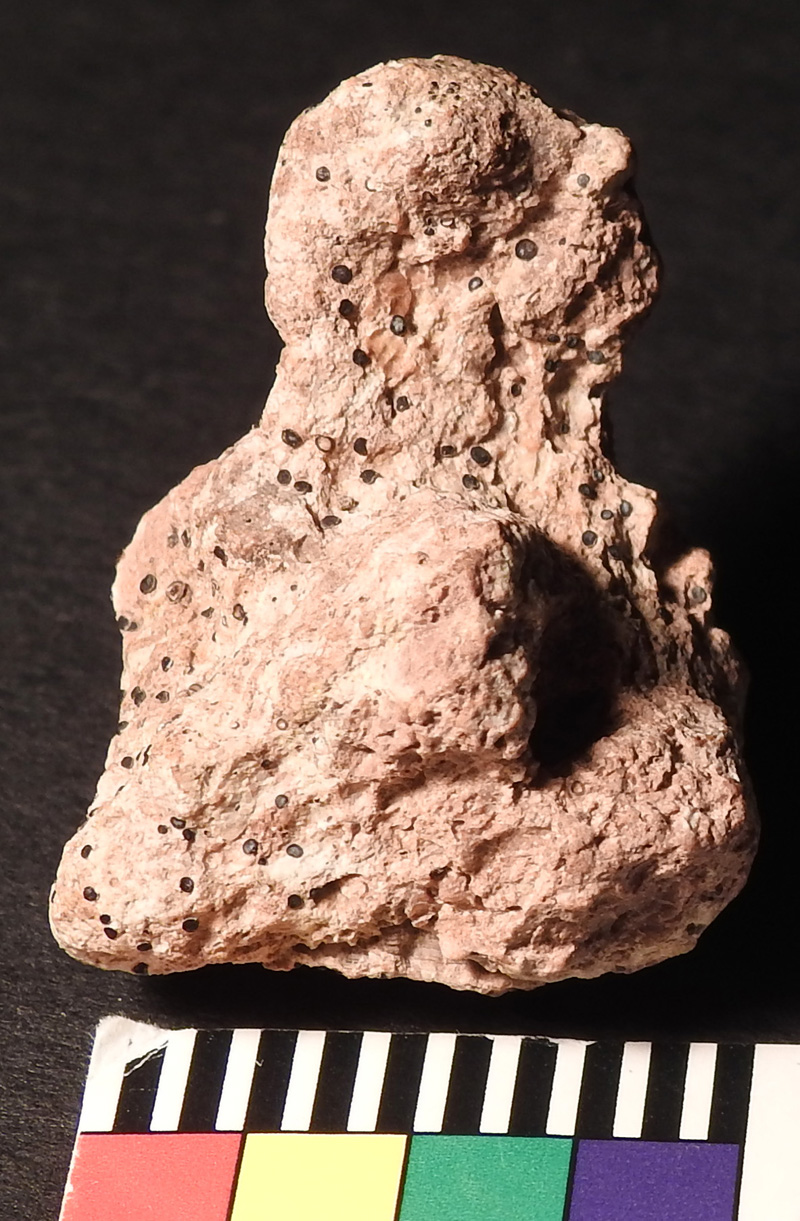 Limestone Stargazer Figure from 33GU218