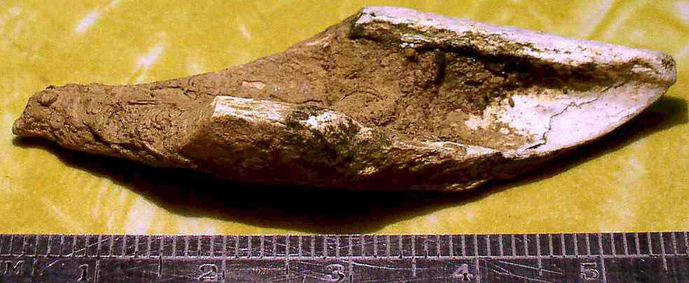 Spirally Fractured and Carved Bone Fragment - Day's Knob Archaeological Site